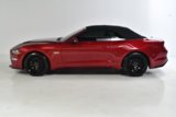 Used 2019 Ford Mustang GT Premium w/ GT Performance Package image 4