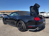 Used 2022 Ford Mustang Premium image 4