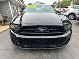 Used 2014 Ford Mustang Premium w/ Equipment Group 202A image 2