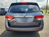 Used 2015 Honda Odyssey EX-L image 5