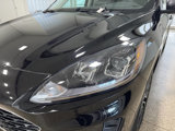 Used 2022 Ford Escape SE image 5