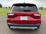 Used 2021 Ford Escape SEL image 5