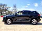 Used 2022 Ford Escape SE image 5