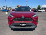 Used 2019 Toyota RAV4 LE image 6