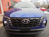 Used 2024 Hyundai Tucson SEL image 6