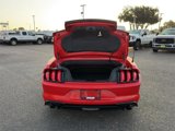Certified 2023 Ford Mustang Premium image 5