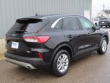 Used 2020 Ford Escape SE image 3