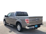 Used 2013 Ford F150 Lariat w/ Lariat Chrome Pkg image 4