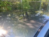 Used 2022 Nissan Altima 2.5 SV image 4