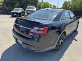 Used 2015 Ford Taurus SHO w/ Equipment Group 401A image 6