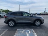 New 2025 Ford Escape Active w/ Cold Weather Package image 4