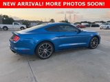 Used 2019 Ford Mustang Premium w/ Equipment Group 201A image 3