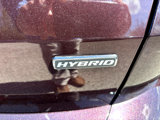 Used 2023 Ford Escape ST-Line w/ Equipment Group 301A image 4