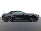 Used 2021 Ford Mustang Premium image 2