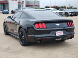 Used 2015 Ford Mustang Coupe w/ Ecoboost Performance Package image 4