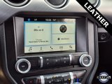 Used 2018 Ford Mustang Premium image 4