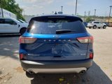Used 2022 Ford Escape Titanium image 4