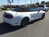 Used 2018 Ford Mustang Premium image 4