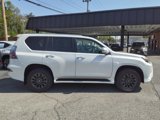 Used 2022 Lexus GX 460 Premium image 2