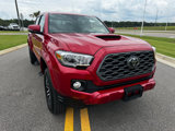 Used 2023 Toyota Tacoma TRD Sport image 4