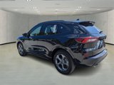 Used 2024 Ford Escape ST-Line w/ Tech Pack #1 image 5