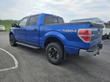Used 2013 Ford F150 XLT w/ XLT Convenience Pkg image 4