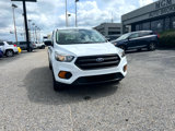 Used 2019 Ford Escape S image 4