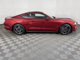 Used 2019 Ford Mustang Coupe w/ Equipment Group 101A image 3