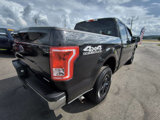 Used 2017 Ford F150 XLT image 6