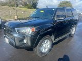 Certified 2019 Toyota 4Runner SR5 Premium image 5