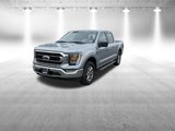 Certified 2022 Ford F150 XLT w/ Equipment Group 302A High image 3