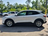 Used 2020 Ford Escape SE image 4