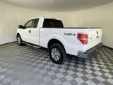 Used 2013 Ford F150 XLT w/ Luxury Equipment Group image 3