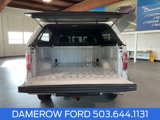 Used 2013 Ford F150 XLT w/ Luxury Equipment Group image 5