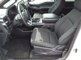 Certified 2022 Ford F150 XLT w/ Equipment Group 301A Mid image 4