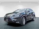 Used 2021 Lexus NX 300 AWD w/ Accessory Package image 3