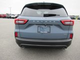 New 2025 Ford Escape ST-Line Elite image 6