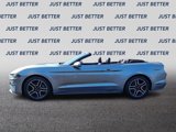 Used 2020 Ford Mustang Premium image 3