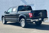 Certified 2019 Ford F150 XLT w/ Equipment Group 301A Mid image 5