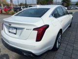 Certified 2023 Cadillac CT5 Premium Luxury w/ Climate Package image 4