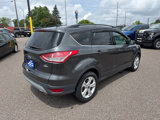 Used 2016 Ford Escape SE w/ Equipment Group 201A image 5