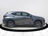 Certified 2023 Lexus NX 250 FWD image 2