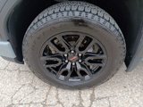 Certified 2024 GMC Sierra 1500 Elevation image 5