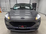 Used 2021 Ford Escape SEL image 2