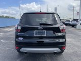 Used 2017 Ford Escape Titanium image 3