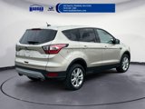 Used 2017 Ford Escape SE image 5