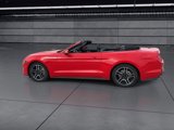 Used 2023 Ford Mustang Premium image 5