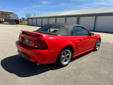 Used 2001 Ford Mustang GT image 6