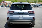 Used 2022 Ford Escape Titanium w/ Titanium Elite Package image 6