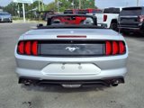 Used 2019 Ford Mustang Premium image 6